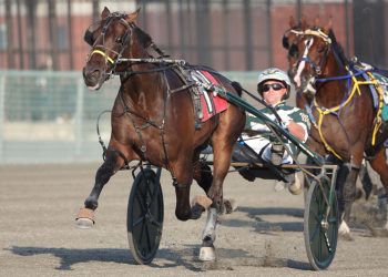 Burke stablemates to clash in $108,300 NYSS