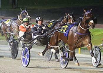 Alta Meteor produces statement a win