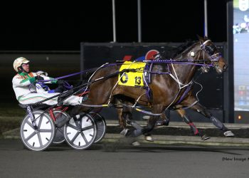 American History upsets Sylvia Hanover