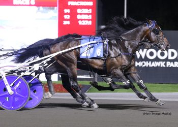 Ardonne shines ahead of $485,000 Wellwood Memorial