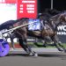 Ardonne shines ahead of $485,000 Wellwood Memorial