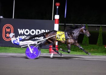 Ardonne equals record in $485,000 William Wellwood Memorial
