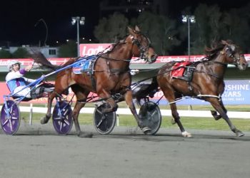 Arrive’s courageous win in QBred Final