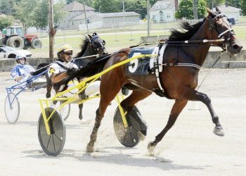 OHHA to Live Stream Races from Ashtabula County and Attica Fairs