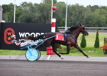 Stakes record for Beau Jangles in $117,150 Nassagweya division