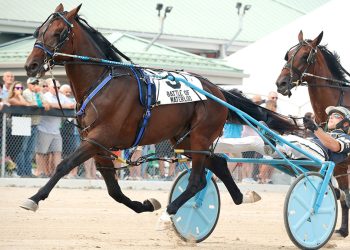 Bulldog Hanover filly smashes track record in Battle of the Belles