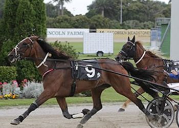 Wallis and Hackett get 400 wins