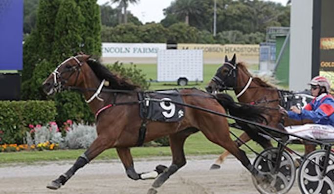 Belle Neige going for three in a row 1