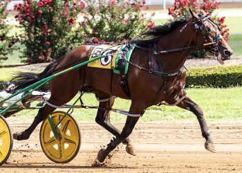 Brandon Blvd remains undefeated at Red Mile