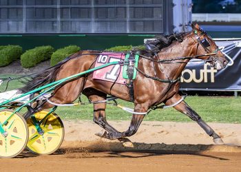 Unblemished record on the line for Brandon Blvd