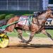 Unblemished record on the line for Brandon Blvd