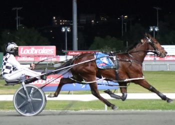 Call to Order gets his Eureka campaign on track again