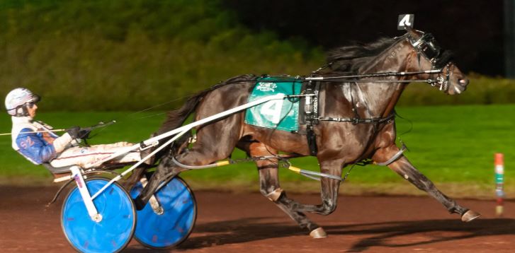 Just days to go in the free Copy That! and Alabar stallion services raffle 1