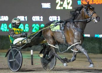 Captains Knock’s fast sprint to take the Kevin Newman Free For All