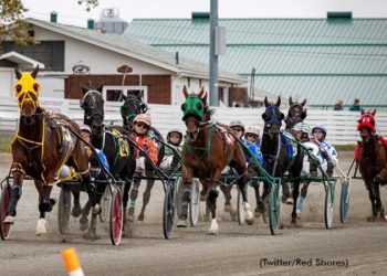 Navalny cruises to victory