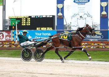 NZ superstar Copy That to stand at stud in WA