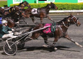 Just days to go in the free Copy That! and Alabar stallion services raffle