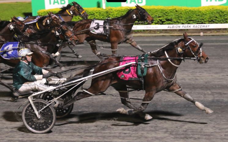 Just days to go in the free Copy That! and Alabar stallion services raffle 2