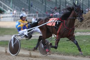 OHHA to live stream from Cuyahoga County Fair
