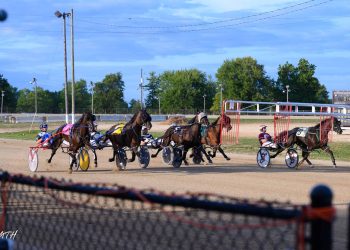 OHHA to Live Stream from 175th Allen County Fair