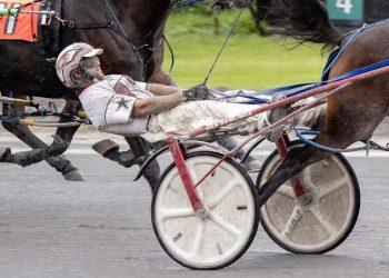 Driver hit with $12,000 in fines & 180-day ban for whip abuse