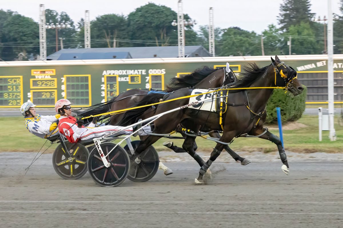 Fast Choice breaks track record in NYSS 2