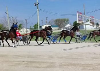 OHHA to live stream from Darke County Fair