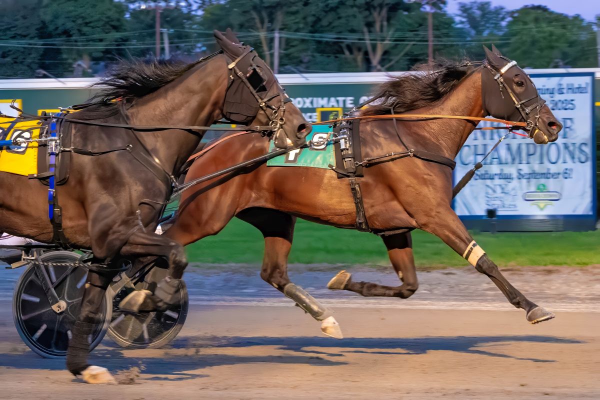 International flair displayed at Batavia 1