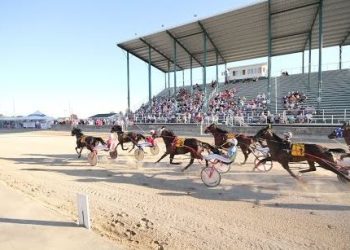 OHHA to Live Stream Races from Monroe and Defiance County Fairs