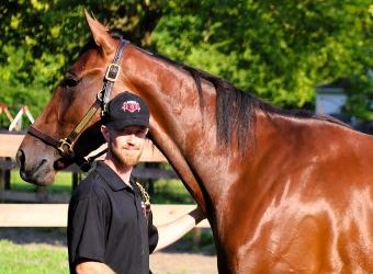 Zeron, Wallin chasing Hambletonian, Oaks history