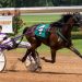 Swedish performer invited to $1,000,000 MGM Yonkers International Trot