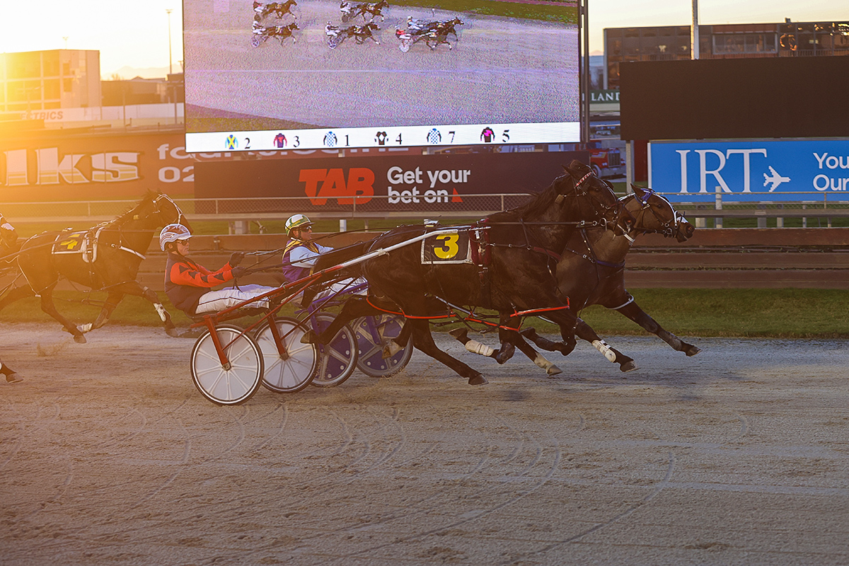 Jill’s One Dream 1