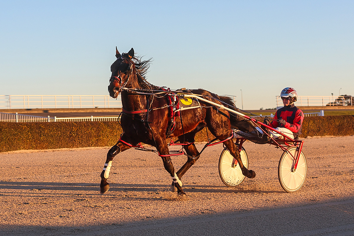 Jill’s One Dream 7