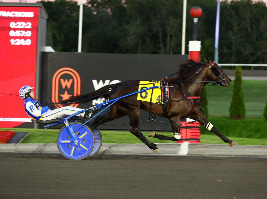 Emoticon Legacy aims to extend family legacy in Breeders Crown 1