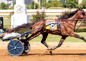 Five in a row for Endurance