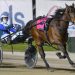Eye Keep Smiling (Club Menangle Photo)