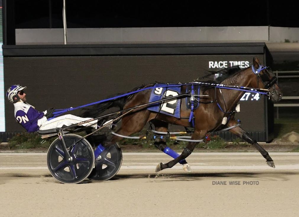 Third leg of Buckeye Stallion Series looms for freshman pacers 1