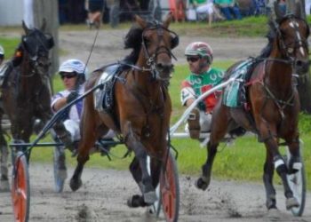 Many two-year-olds repeat winners at Dayton