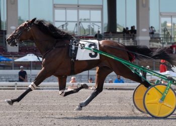 Three-year-old trotters star on 13-race card