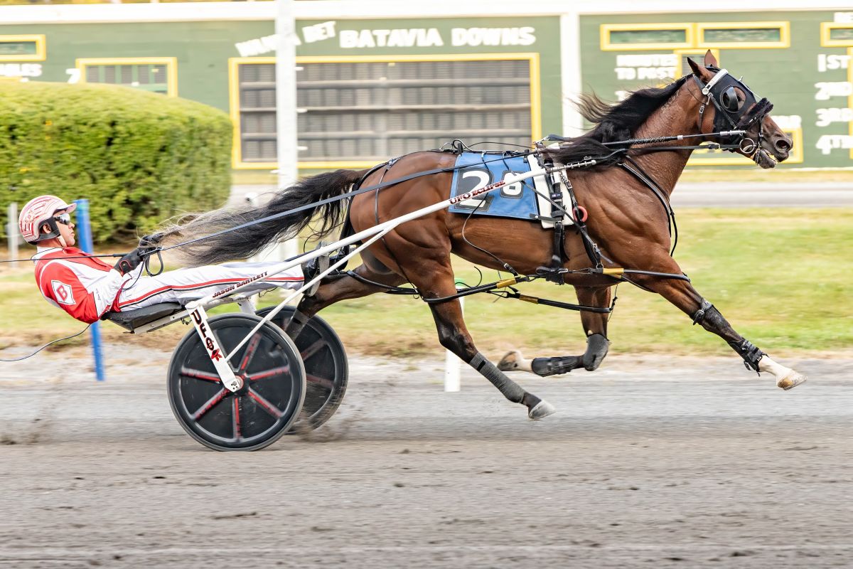 Fast Choice breaks track record in NYSS 1