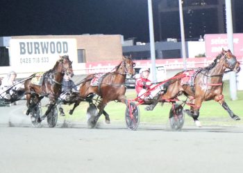 Final Deadline too strong for Fate Awaits