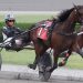 Jula Hot To Chill & Flying Copper triumph in NYSS