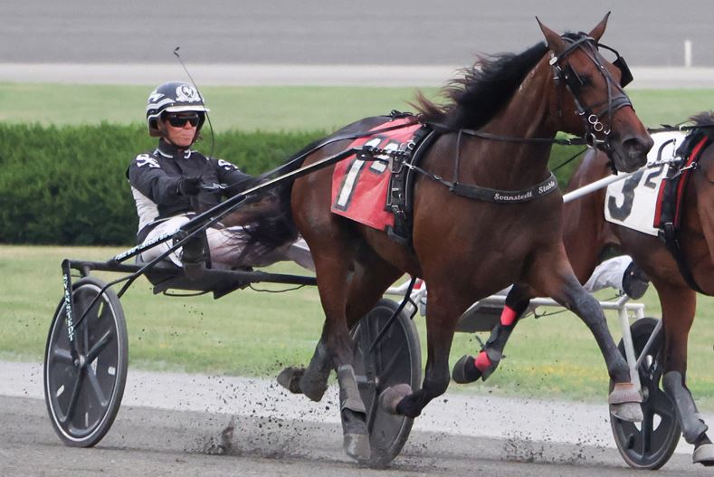 Jula Hot To Chill & Flying Copper triumph in NYSS 1