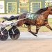Bartlett wins six as favorites dominate in NYSS races 2