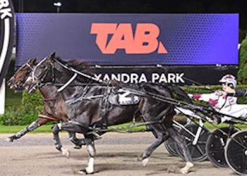 2YOs will race for big money and Group 1 glory at Alexandra Park