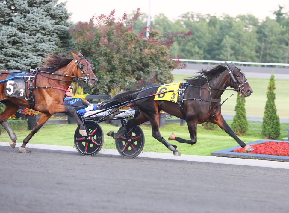 Aetos Kronos S trots Canada's first sub 1:50 mile 2