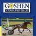 Goshen Sale nears – 112 Yearlings ready to shine
