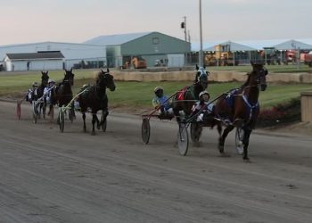 OHHA to Live Stream Races from Henry County Fair