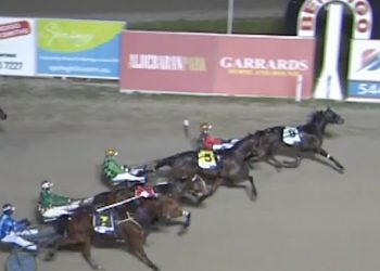 Two year old trotters show their style at Bendigo