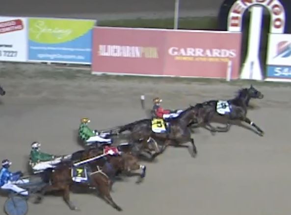 Two year old trotters show their style at Bendigo 1